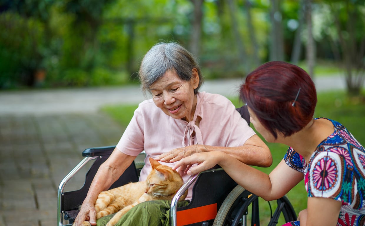 Elderly Woman in a Wheelchair with a Cat